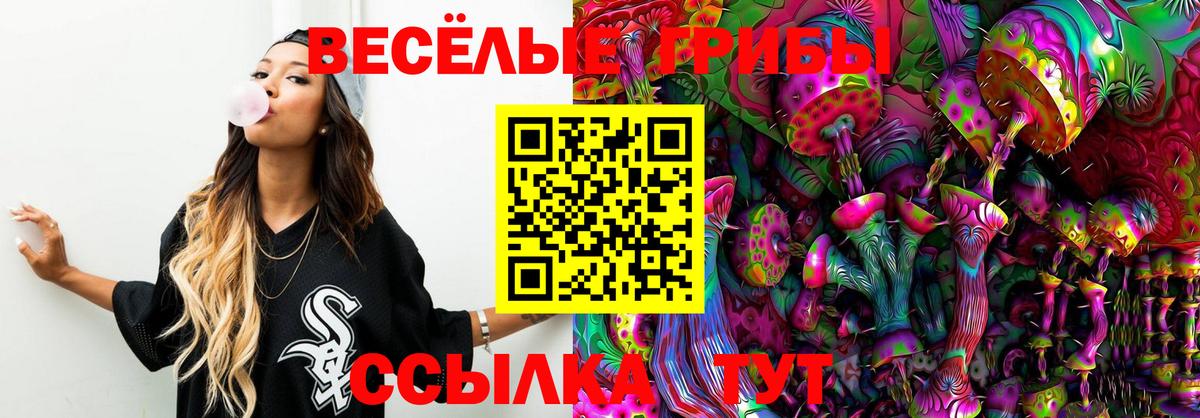Псилоцибиновые грибы Cubensis  Вход с VPN  Новосибирск 