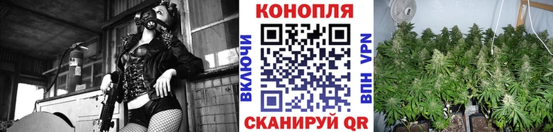 где купить наркоту  ссылка на мегу ТОР  Марихуана Amnesia  Новосибирск 